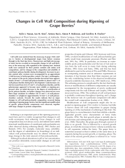 Changes in Cell Wall Composition during Ripening of Grape Berries