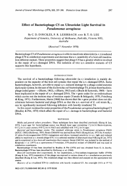 Effect of Bacteriophage C5 on Ultraviolet Light