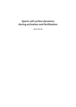 Sperm cell surface dynamics during activation and fertilization