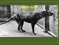 Extinct! - davis.k12.ut.us