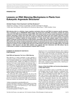 Lessons on RNA Silencing Mechanisms in Plants from