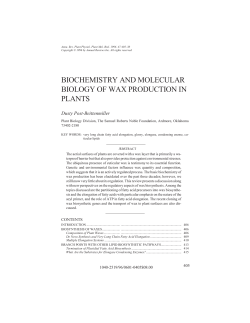 biochemistry and molecular biology of wax production in plants