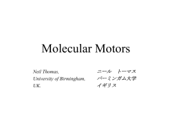 Molecular Motors3