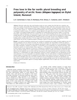Free love in the far north: plural breeding and polyandry of arctic foxes