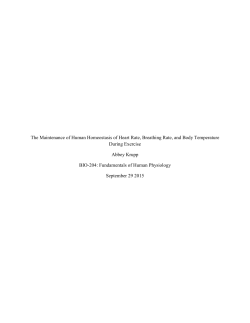 The Maintenance of Human Homeostasis of Heart Rate, Breathing