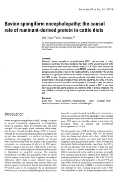 Bovine spongiform encephalopathy: the causal role of