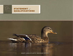 STATEMENT of QUALIFICATIONS