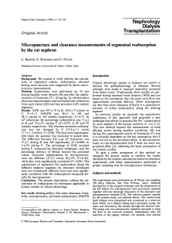 Micropuncture and clearance measurements of segmental