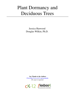 CK12 Plant Dormancy and Deciduous Trees