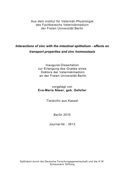 Interactions of zinc with the intestinal epithelium - diss.fu
