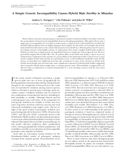 A Simple Genetic Incompatibility Causes Hybrid Male Sterility in