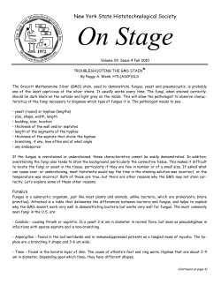 OnStage_V29_I4_1010 - New York State Histotechnological Society