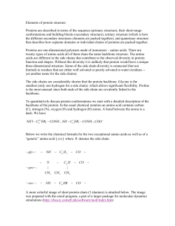 Elements of protein structure