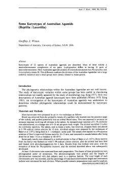 Some Karyotypes of Australian Agamids (Reptilia : Lacertilia)