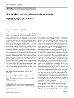 Nme family of proteins&mdash;clues from simple animals