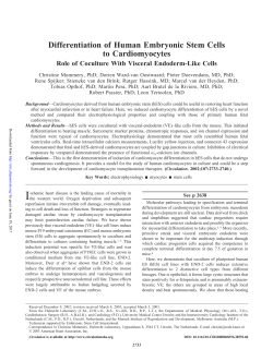 Differentiation of Human Embryonic Stem Cells to