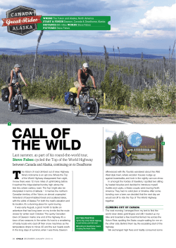 call of the wild
