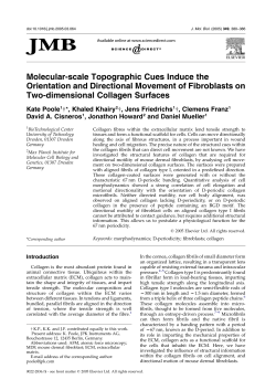 Molecular-scale Topographic Cues Induce the Orientation and