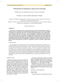 Pcr detection of Campylobacter species in feces from dogs