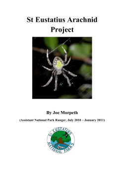 St Eustatius Arachnid Project