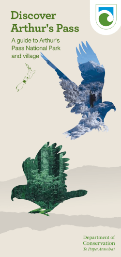 Discover Arthur`s Pass - Department of Conservation