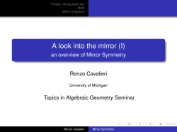A look into the mirror (I) - an overview of Mirror Symmetry