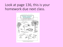 Energy Flow and cycles in the Ecosystem