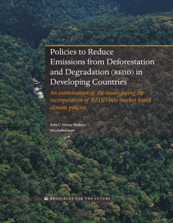 Policies to Reduce Emissions from Deforestation and Degradation
