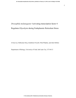 Drosophila melanogaster Activating transcription factor 4 Regulates