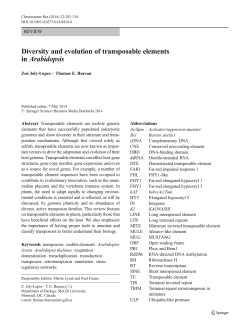 Diversity and evolution of transposable elements in