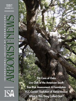 NEW &bull; NEW - Historic Tree Care