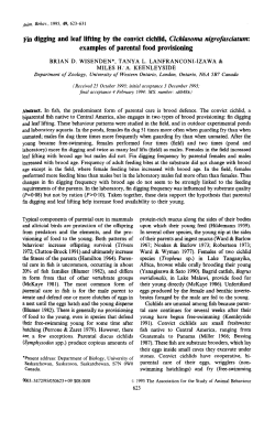 Fin digging and leaf lifting by the convict cichlid, Cichlusoma