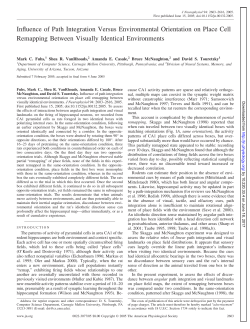 Influence of Path Integration Versus Environmental Orientation on