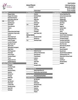 Annual Flowers - Hood`s Gardens