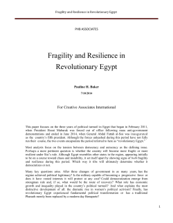 Fragility and Resilience in Revolutionary Egypt