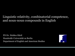 Linguistic relativity, combinatorial competence, and noun