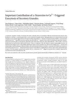 Important Contribution ofα-Neurexins to Ca