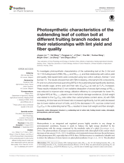 Photosynthetic characteristics of the subtending