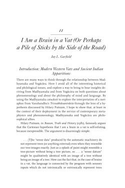 I Am a Brain in a Vat (Or Perhaps a Pile of Sticks by the Side of the