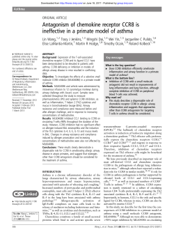 Antagonism of chemokine receptor CCR8 is ineffective in a