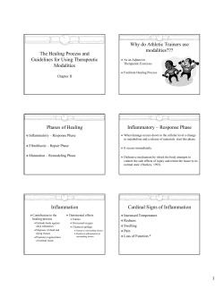 The Healing Process and Guidelines for Using