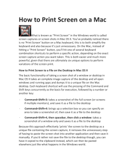 Screen Shot/Print screen