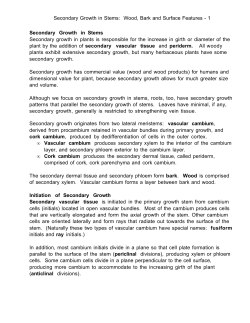 Secondary Growth in Stems: Wood, Bark and Surface