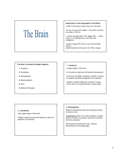 Introduction to the Organization of the Brain &bull;&asymp; 98% of the body`s