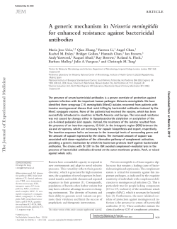 A generic mechanism in Neisseria meningitidis for enhanced
