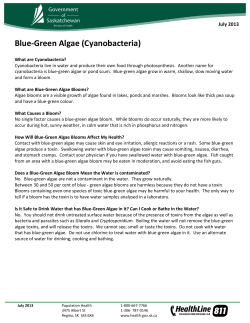 Blue-Green Algae (Cyanobacteria)