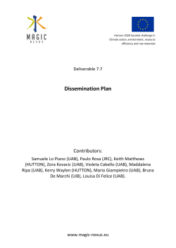 Dissemination Plan - MAGIC Nexus Project