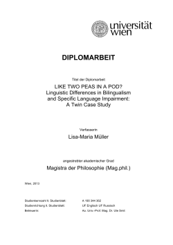 diplomarbeit - E