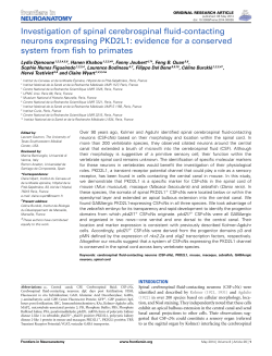 Investigation of spinal cerebrospinal fluid