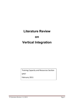 Literature Review on Vertical Integration